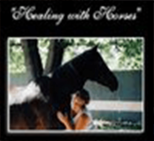 Woman Hugging A Black Horse
