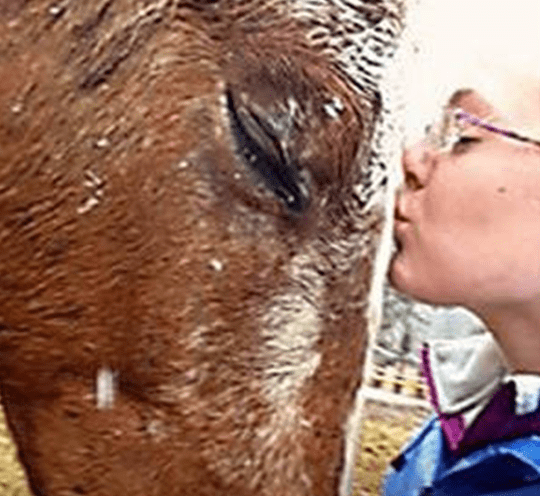 Woman Giving The Horse A Kiss